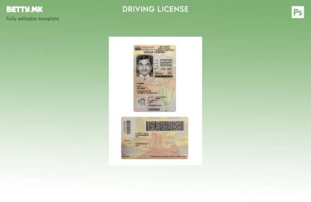 модерен стил САД Аризона под возачка дозвола присутен шаблон